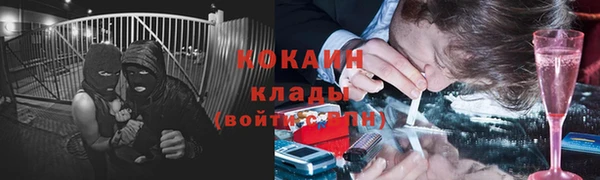 шишки Абдулино