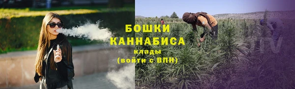 шишки Абдулино