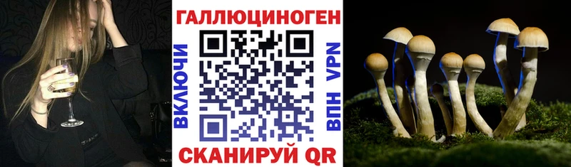 Галлюциногенные грибы Magic Shrooms Абакан