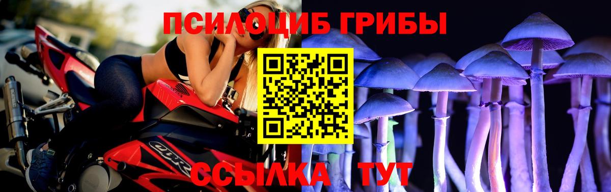 Абакан  Галлюциногенные грибы Magic Shrooms  Вход с VPN 
