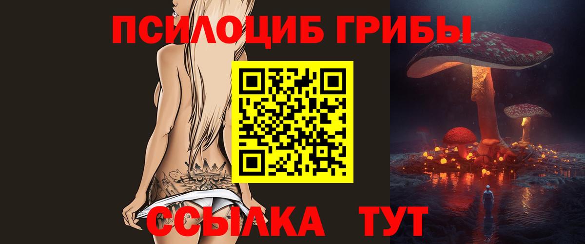 Псилоцибиновые грибы Psilocybe Абакан